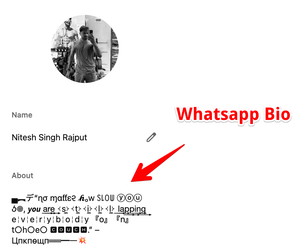 WhatsApp Font Copy and Paste